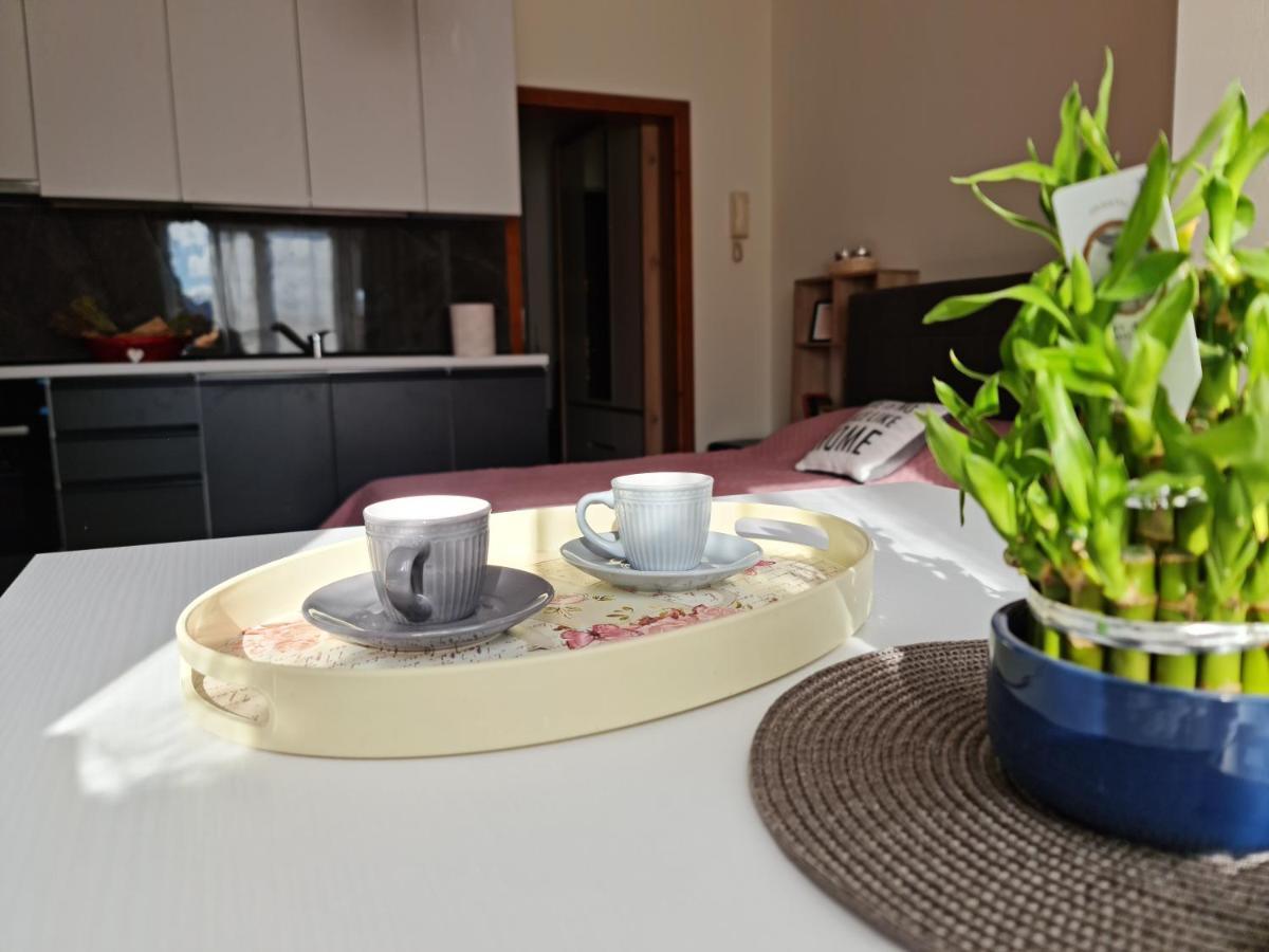 Lovely One Bedroom Studio In Tirana Eksteriør billede